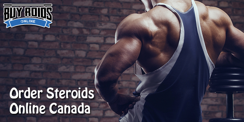 You can buy Canadian steroids online original and unaltered at the best market price
