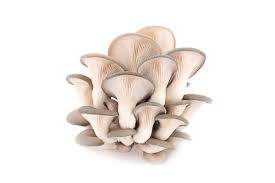 Tips for choosing the high-quality mushroom extract