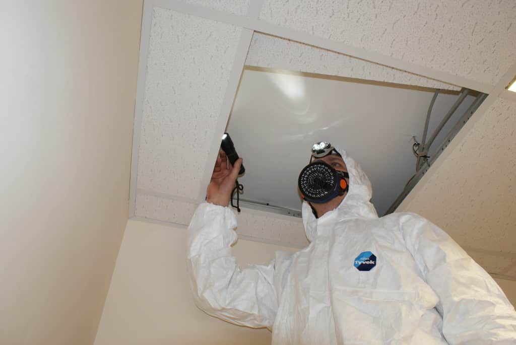 Qualified and certified inspectors in London will be able to carry out an Asbestos survey taking care of every detail