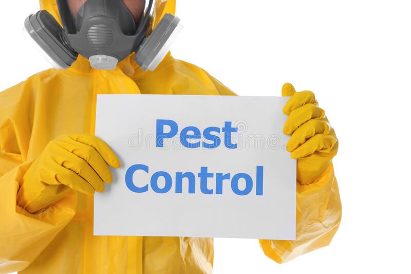 When Looking For a New Home for Bees, Consider Bee Extermination