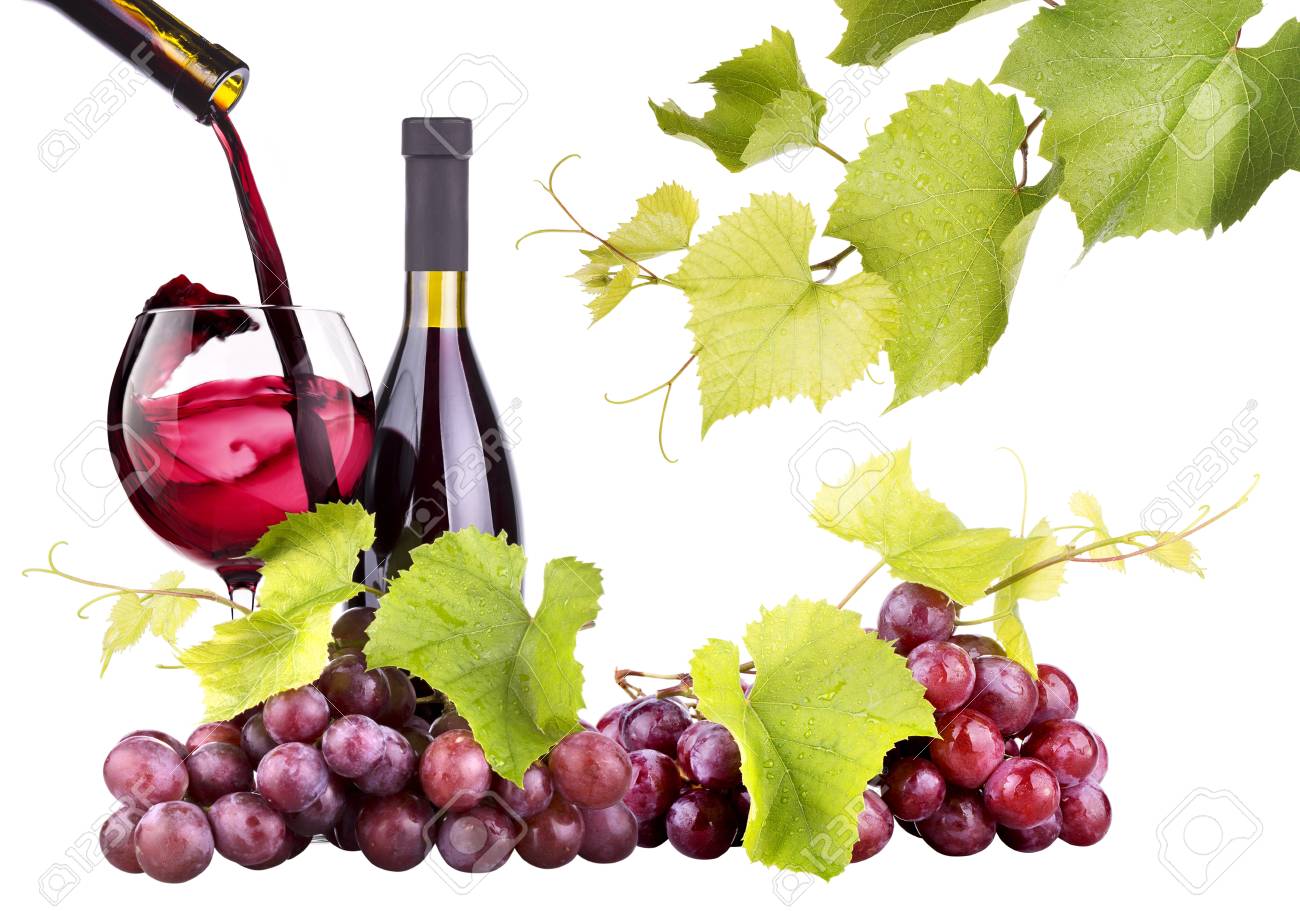 Choosing the Right Chianti: Things to Consider and Learn about Classico Wine