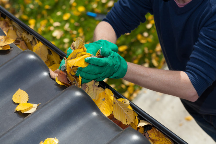 The Different types of gutter cleaning services