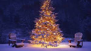 LED Christmas Lights Selection For Activities