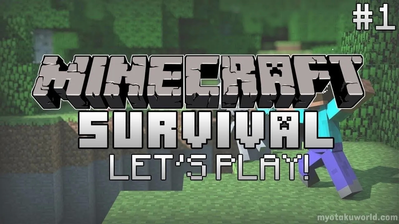 So many different Minecraft Servers to choose from