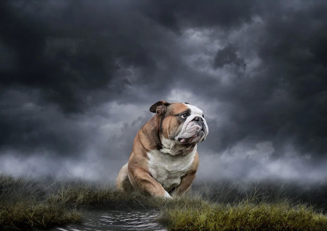 Is flash necessary in photography? Get Details Here