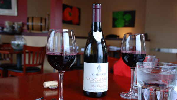 Top Tips on Choosing the Best Wine Tour Provider