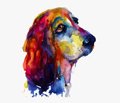 How much do dog photography lovers cost? Get Information On this page
