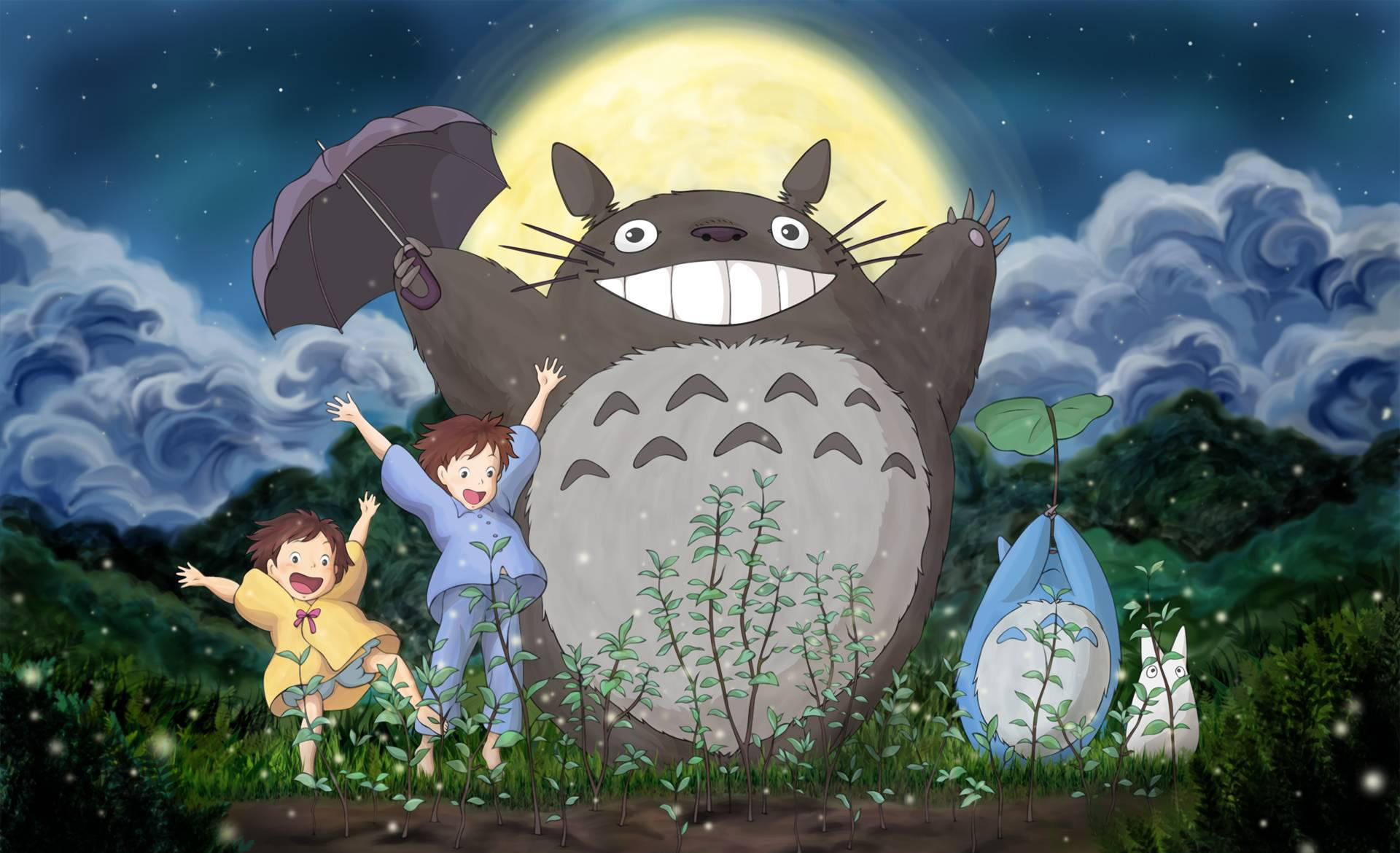 Find out what conditions you must meet to have some Totoro products online
