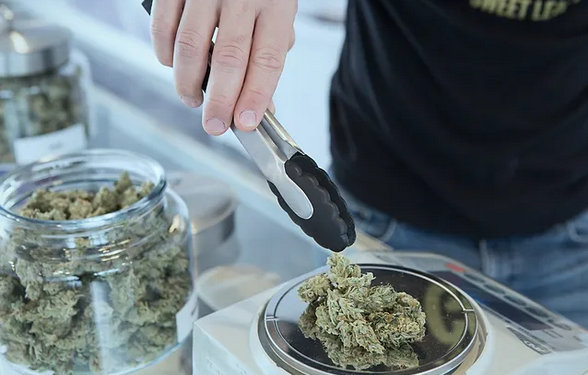 Find the best dc weed of higher fearlessness and high quality