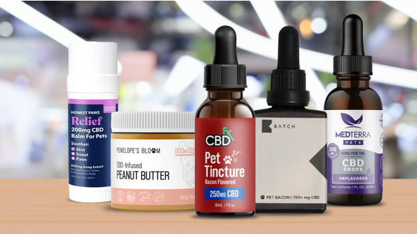 Take pleasure in the Scrumptious Preference of CBD Puppy Treats with Every Chew!