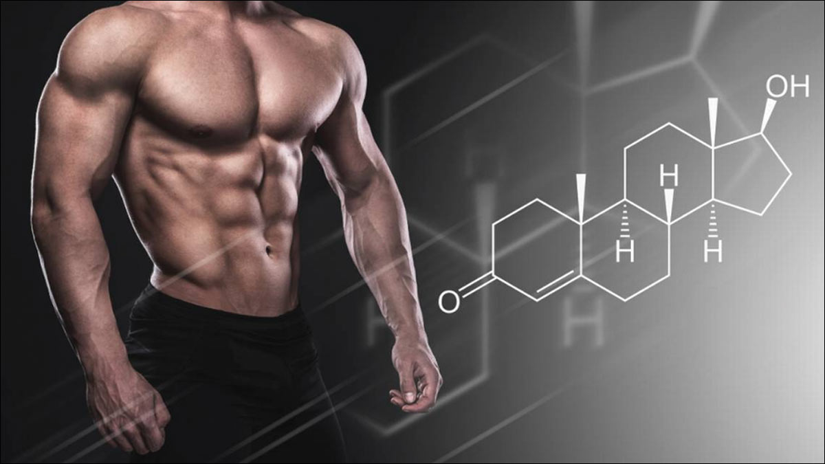 Your Comprehensive Handbook on Buying Steroid: Tips, Risks, and Recommendations