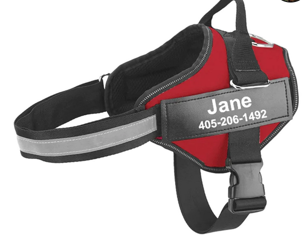 Creating an ideal Match: How to locate a Personalized Dog Harness